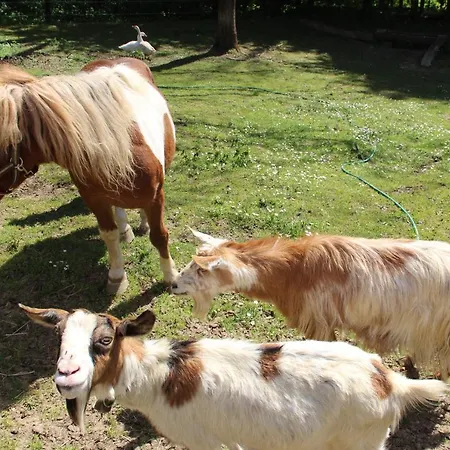 Kleissner Nestelberg