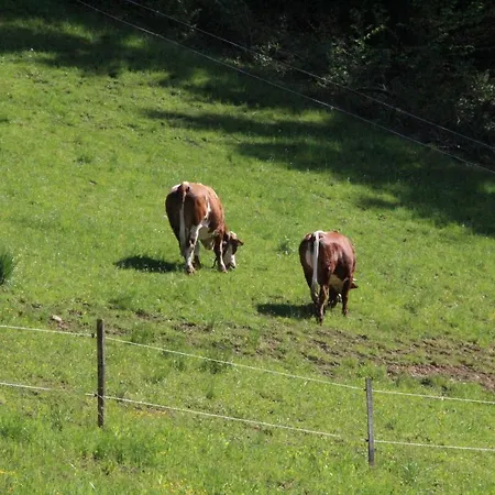 Casa vacanze Kleissner