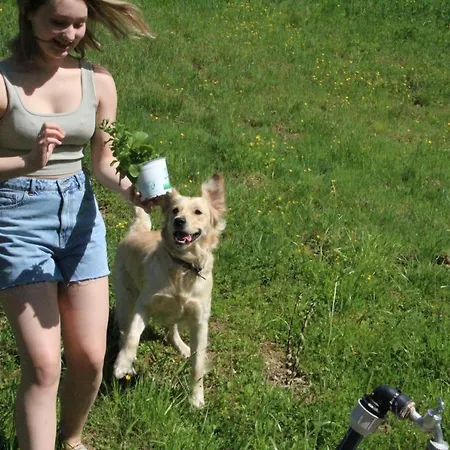 Dom wakacyjny Kleissner