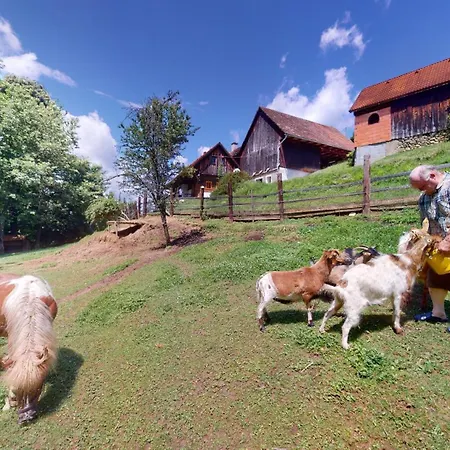 Kleissner Casa vacanze *