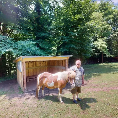 Feriehus Kleissner Nestelberg