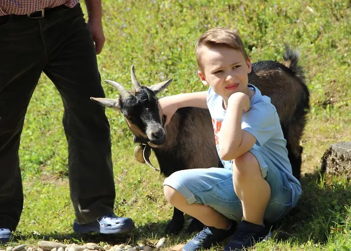 Kleissner Prázdninový dům Nestelberg