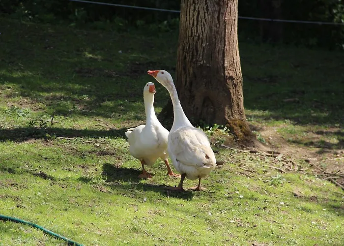 Kleissner Holiday home