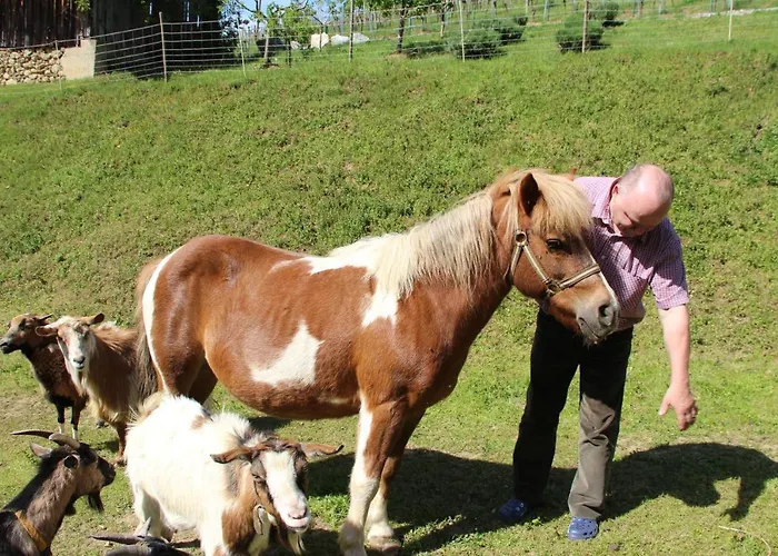 Kleissner * Nestelberg