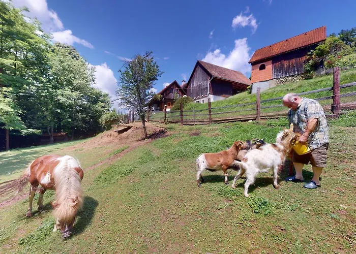 Kleissner 度假居 *