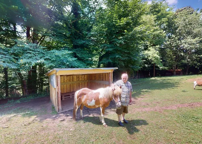 度假居 Kleissner Nestelberg